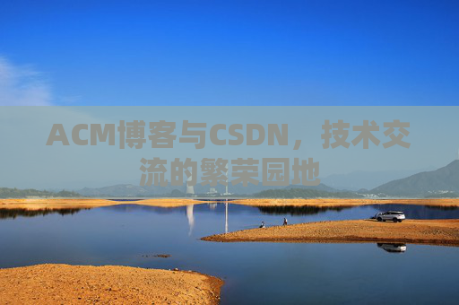 ACM博客与CSDN，技术交流的繁荣园地